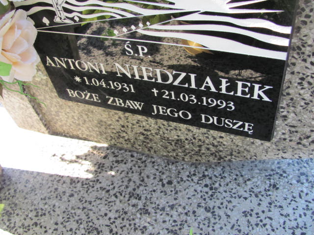Antoni Niedziałek 1931 Rudnik nad Sanem - Grobonet - Wyszukiwarka osób pochowanych