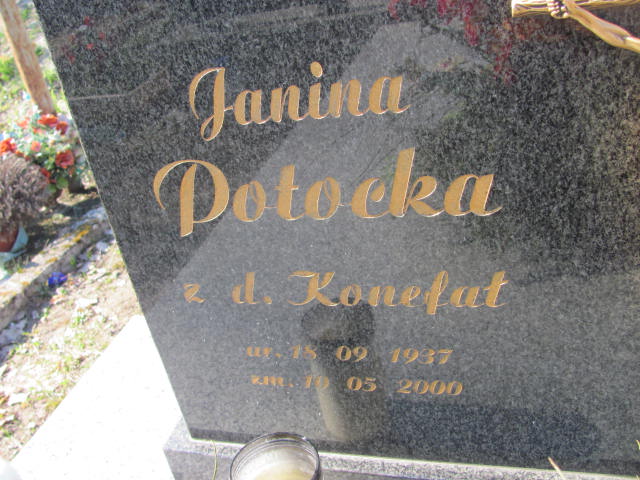 Mieczysław Potocki 1929 Rudnik nad Sanem - Grobonet - Wyszukiwarka osób pochowanych