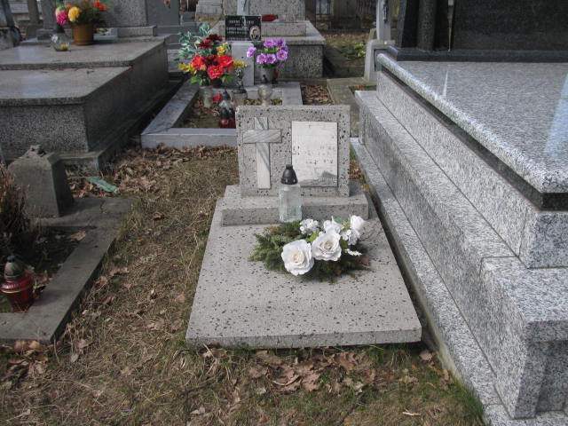  n Rudnik nad Sanem - Grobonet - Wyszukiwarka osób pochowanych