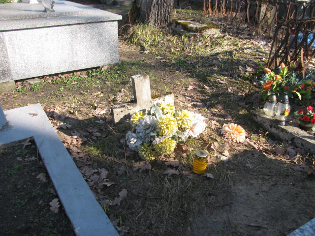  NN Rudnik nad Sanem - Grobonet - Wyszukiwarka osób pochowanych