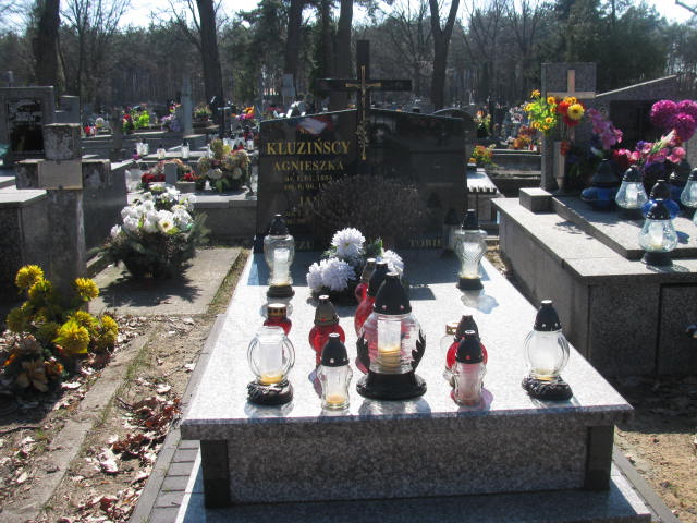Grób Michał Kluziński