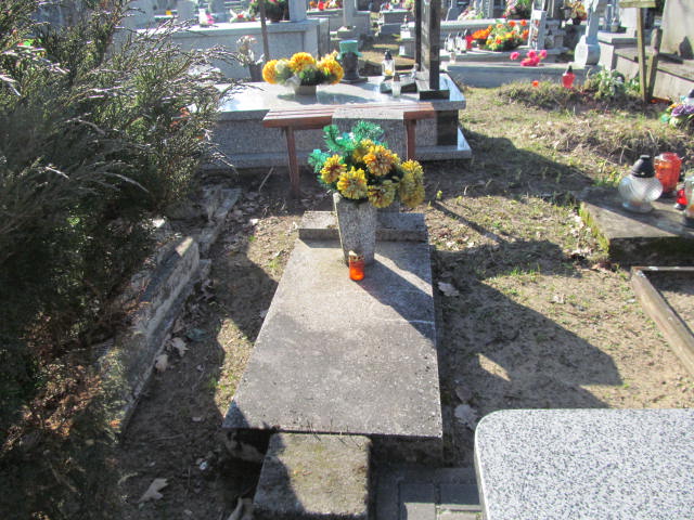  NN Rudnik nad Sanem - Grobonet - Wyszukiwarka osób pochowanych