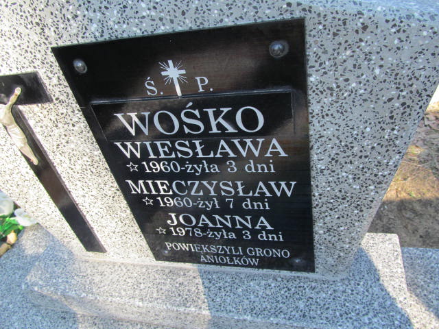 Mieczysław Wośko 1959 Rudnik nad Sanem - Grobonet - Wyszukiwarka osób pochowanych