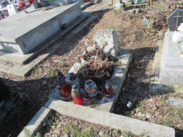  NN Rudnik nad Sanem - Grobonet - Wyszukiwarka osób pochowanych