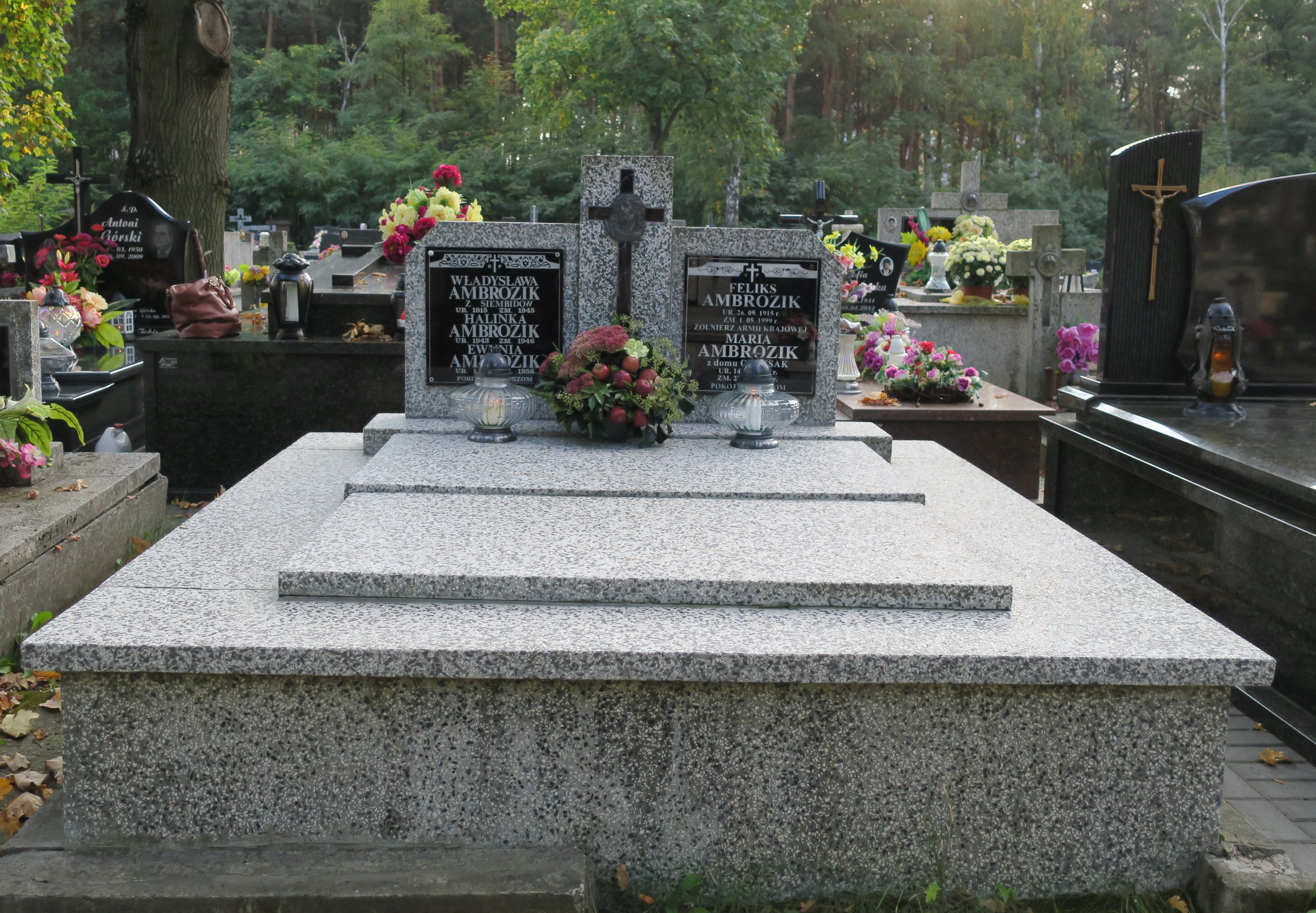Grób Feliks Ambrozik