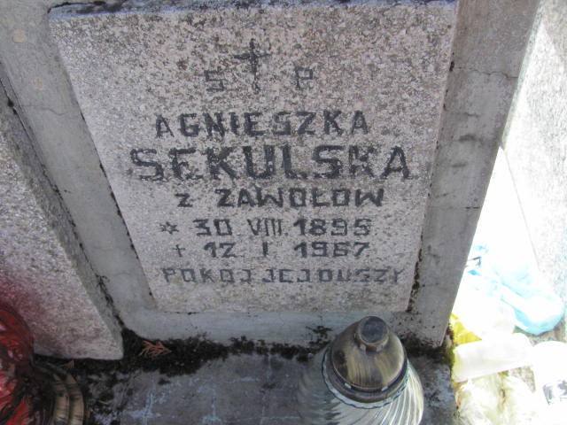 Agnieszka Sekulska 1895 Rudnik nad Sanem - Grobonet - Wyszukiwarka osób pochowanych