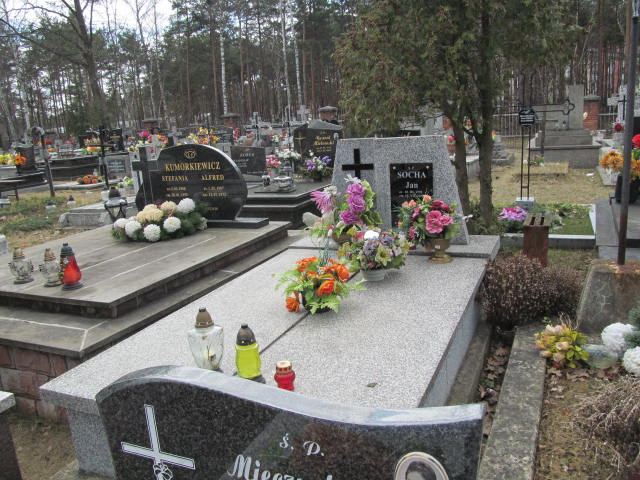 Grób Irena Socha