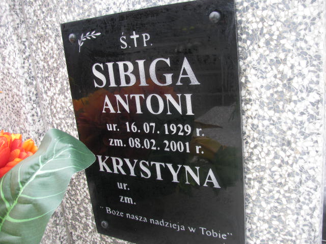 Antoni Sibiga 1929 Rudnik nad Sanem - Grobonet - Wyszukiwarka osób pochowanych